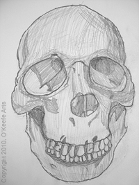 Study for 'Skull and the Hidden Images', Graphite on Paper, Danielle O'Keefe, September, 2010