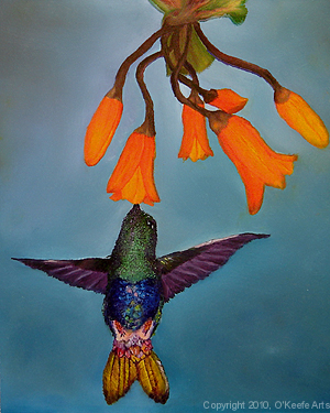 The Hummingbird, Oil on Board, 10x8, Jennifer O'Keefe, 2008