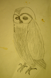 John O'Keefe Jr pencil drawing of an owl, created when he was seven years old, preschool and elementary school art