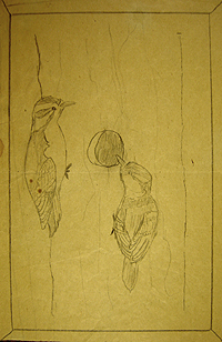 John O'Keefe Jr pencil drawing of two woodpeckers, created when he was eight or nine years old, preschool and elementary school art
