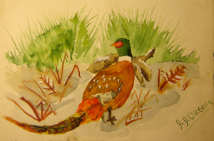 John O'Keefe Jr watercolor of a fowl, created when he was nine or ten years old