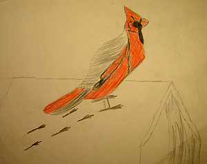 Preschool and elementary school art, John O'Keefe Jr colored pencil drawing of a cardinal, created when he was seven years old