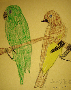 Preschool art, John O'Keefe Jr crayon drawing of a parrot and a bird, created when he was seven years old