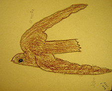 Preschool art, John O'Keefe Jr crayon drawing of a barn swallow, created when he was seven years old