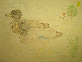 Preschool and elementary school art, John O'Keefe Jr colored pencil drawing of ducks in a pond, created when he was seven years old