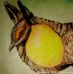 Middle and high school art, John O'Keefe Jr watercolor study of a prairie chicken, created when he was sixteen years old