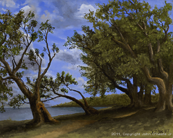 Preview Oil Painting 'Old Olive Tree Path' by John O'Keefe Jr.
