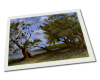 Giclee on Paper product image thumbnail