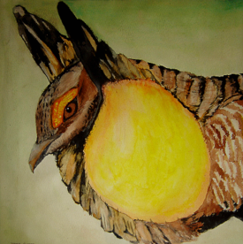 Preview for Watercolor 'Prarie Chicken' by John O'Keefe Jr.